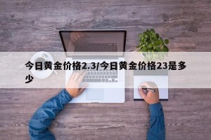 今日黄金价格2.3/今日黄金价格23是多少